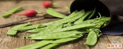 荷兰豆怎么炒不变颜色 荷兰豆怎么炒才算熟