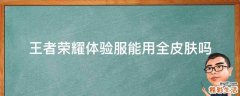 王者荣耀体验服能用全皮肤吗