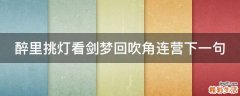 醉里挑灯看剑梦回吹角连营下一句
