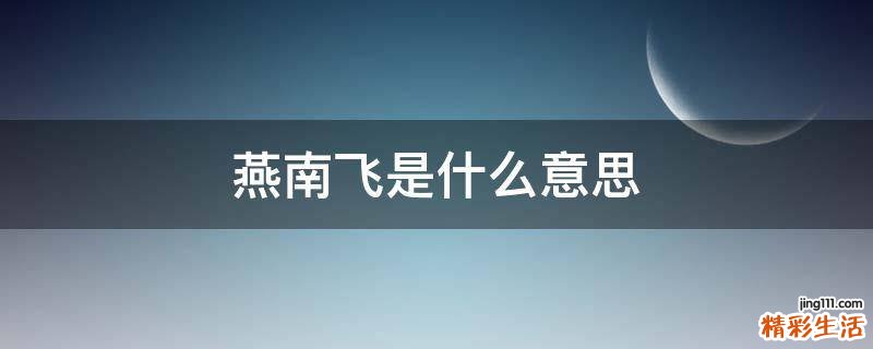 燕南飞是什么意思