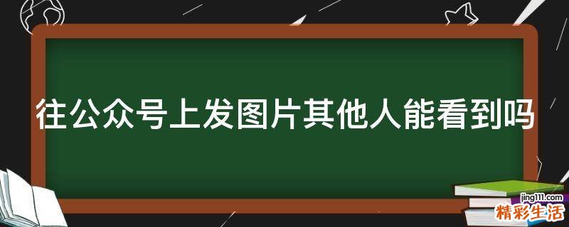 往公众号上发图片其他人能看到吗