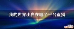 我的世界小白在哪个平台直播
