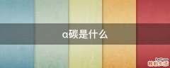 α碳是什么