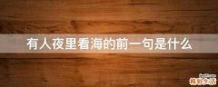 有人夜里看海的前一句是什么