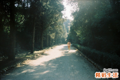 暗疮的护理方法有哪些_皮肤有暗疮怎么办