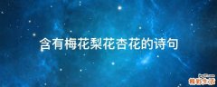 含有梅花梨花杏花的诗句