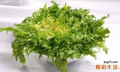 苦菊菜的营养价值