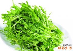 苦菊孕妇可以吃吗 孕妇吃苦菊有什么好处