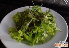生吃苦菊可以减肥吗 苦菊怎么吃能减肥
