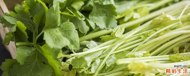 苦菊和芹菜能一起吃吗 芹菜不能和什么一起吃