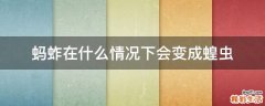 蚂蚱在什么情况下会变成蝗虫