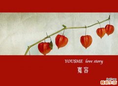 5大错误法去黑头 鼻子变草莓