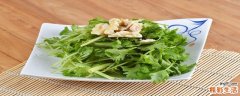 苦菊能不能涮火锅 苦菊有什么药用作用