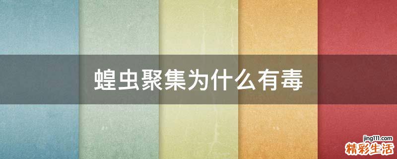 蝗虫聚集为什么有毒