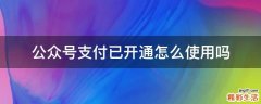 公众号支付已开通怎么使用吗
