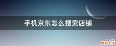 手机京东怎么搜索店铺