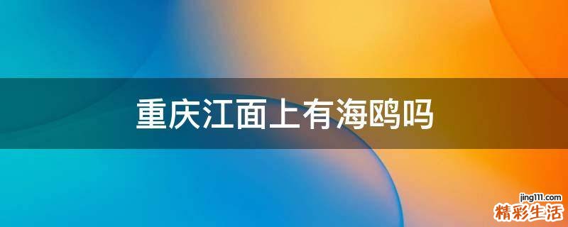 重庆江面上有海鸥吗