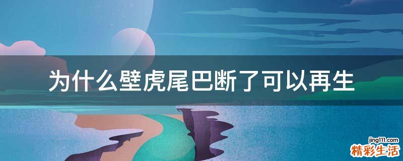 为什么壁虎尾巴断了可以再生