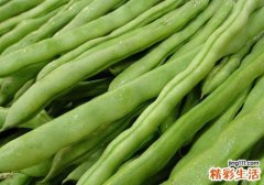 四季豆的功效与作用及禁忌