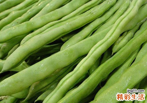 四季豆的功效与作用及禁忌