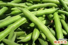 吃四季豆中毒怎么解毒