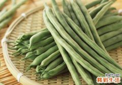 四季豆的营养价值