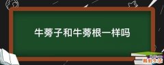 牛蒡子和牛蒡根一样吗