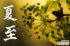 夏至是入伏的头一天吗