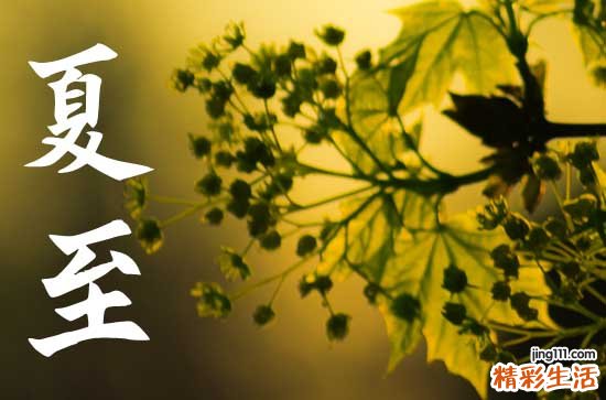夏至是入伏的头一天吗