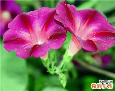 【化眼妆的技巧】眼影化妆的7个技巧