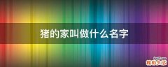 猪的家叫做什么名字