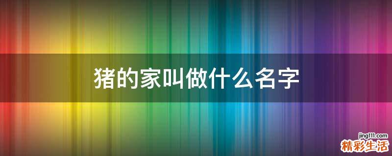 猪的家叫做什么名字