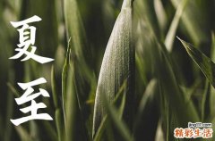 2023年夏至是几月几日