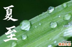 2023年夏至入伏是哪一天
