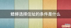 蟋蟀选择住址的条件是什么