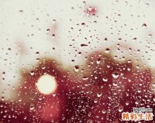 谷氨酸脱羧酶抗体