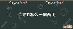 苹果11怎么一屏两用