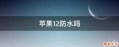 苹果12防水吗