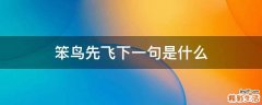 笨鸟先飞下一句是什么