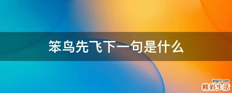 笨鸟先飞下一句是什么