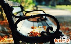 5 缺铁性贫血