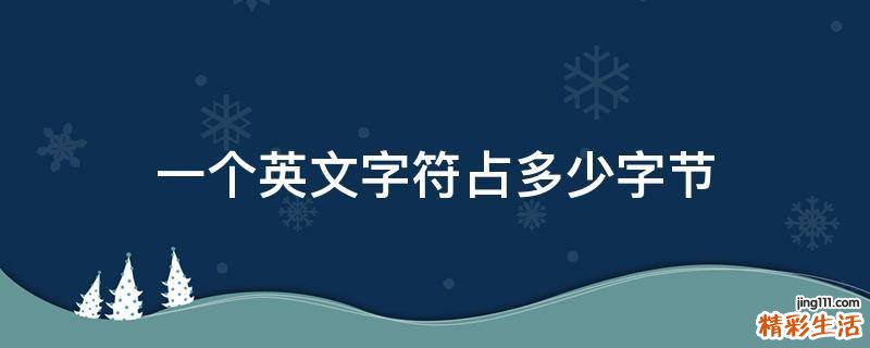 一个英文字符占多少字节