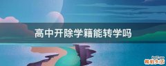 高中开除学籍能转学吗