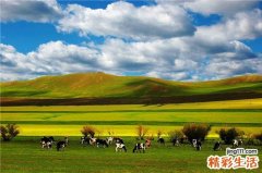 夏日正确护肤 有效消灭草莓鼻毛孔