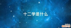 十二学是什么