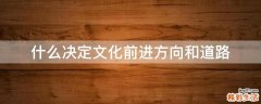 什么决定文化前进方向和道路