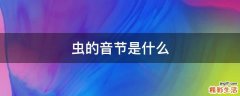 虫的音节是什么