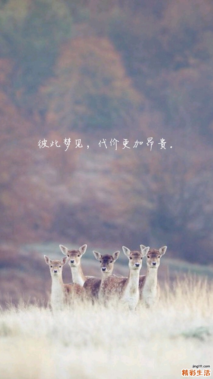 尿沉渣管型检查