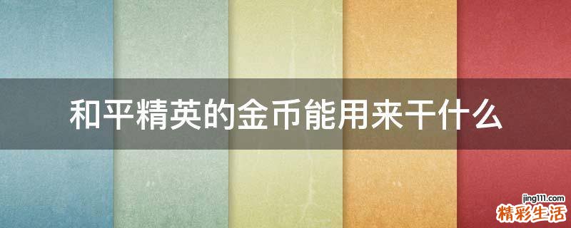 和平精英的金币能用来干什么