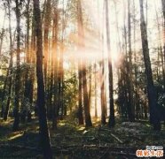 5 丰胸运动让你更加自信